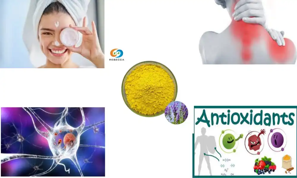 What is baicalin in skin care?